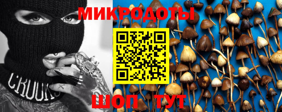 Моздок  Псилоцибиновые грибы Psilocybe  Вход с VPN 