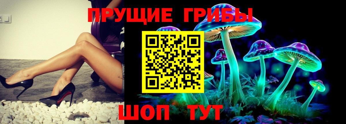Галлюциногенные грибы мицелий Моздок